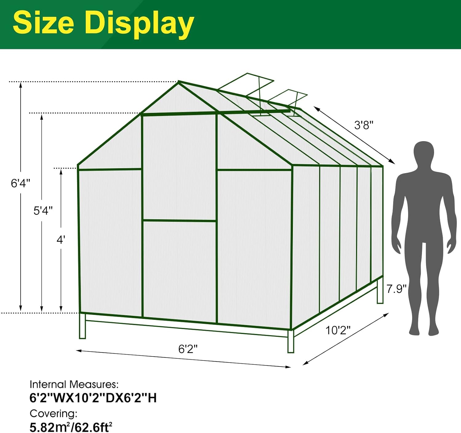 6'x10' Walk-in Greenhouse with 4mm 800G Polycarbonate Panels - Heavy-Duty Aluminum Frame, Wind/Snow Resistant for Gardening, Includes Sliding Door & Ventilation Windows (Green)
