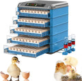 Egg Incubator, 192/256/500 Egg Incubator, Poultry Hatcher Machine with Automatic Egg Turning, Temperature & Humidity Control and LED Screen, General Purpose Incubator for Chickens Ducks Birds,500